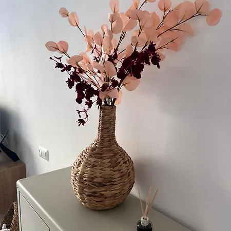Apartamento La Primera *